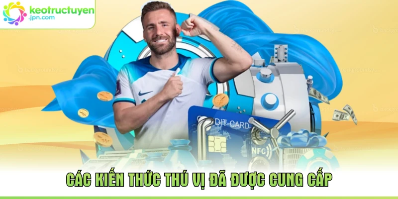 Các kiến thức thú vị đã được cung cấp