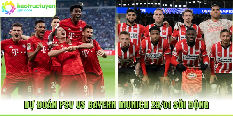 Dự đoán PSV vs Bayern Munich 29/01 sôi động