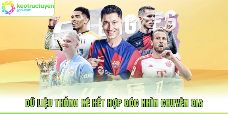 Dữ liệu thống kê kết hợp góc nhìn chuyên gia